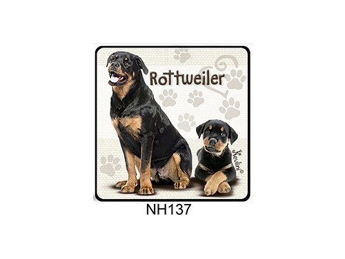 (NH137) Hűtőmágnes 7,5 cm x 7,5 cm - Rottweiler – Kutyás ajándékok